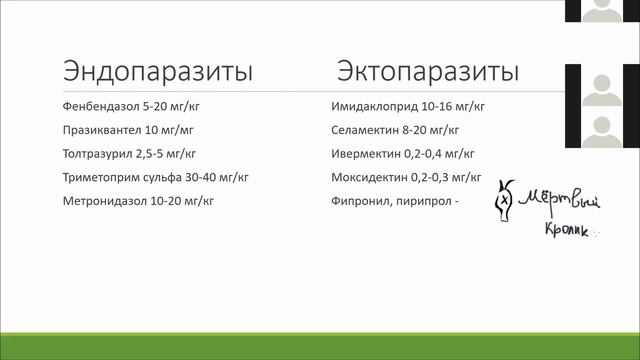 Паразиты у животных, лечение и профилактика паразитов у экзотических животных смотреть онлайн