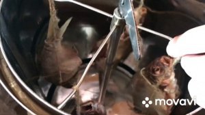 Копченый лещ? горячего копчения. Коптильня БРАВО?