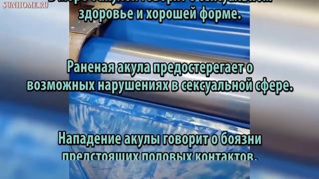 К чему снится Акула сонник, толкование сна смотреть онлайн