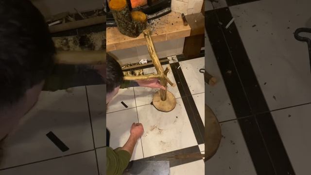 Попугай. Стенд для маленьких видов попугаев. Таких как Волнистые, неразлучники, воробьиные, корелла