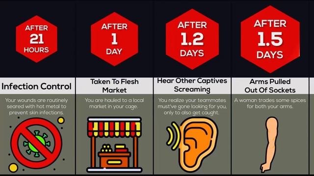 Timeline: What If You Were Eaten Alive? смотреть онлайн