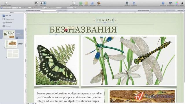 Настройка IBooks Author