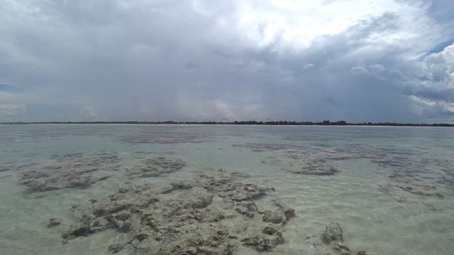 ЗАНЗИБАР ПЛЯЖ ПАДЖЕ ZANZIBAR PAJE 12 смотреть онлайн