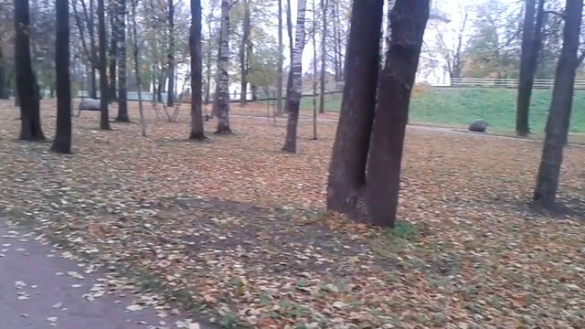 Большие синицы, поползни и пухляки смотреть онлайн