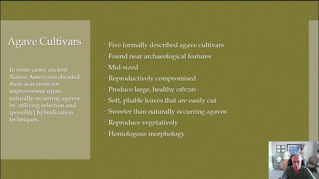 Chasing Centuries - The Search for Ancient Agave Cultivars Across the Desert Southwest by Ron Parke смотреть онлайн