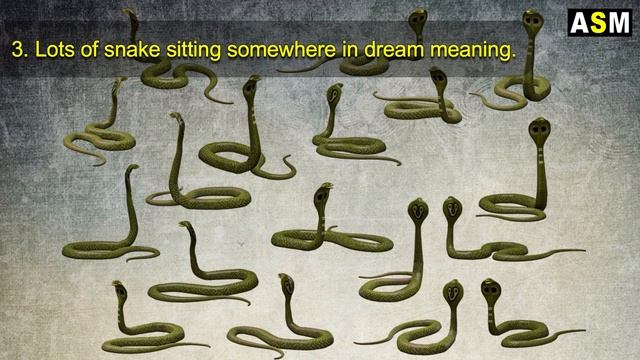 What does Lot of Snakes in dream meaning | Dreaming of Lot of Snakes | Many Snakes dream mean смотреть онлайн