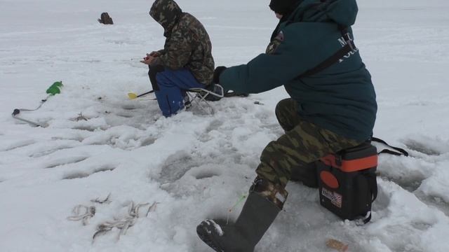 ВОТ ЭТО КЛЕВ!!! ПОПАЛ НА ЭЛЬДОРАДО ЕЛЬЦА. Открытие сезона твердой воды. смотреть онлайн