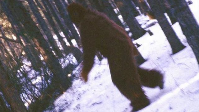 СНЕЖНЫЙ ЧЕЛОВЕК. ЙЕТИ. 10 ИНТЕРЕСНЫХ ФАКТОВ смотреть онлайн