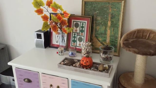 Осенние декорации и новые масла для тела. Веган смотреть онлайн