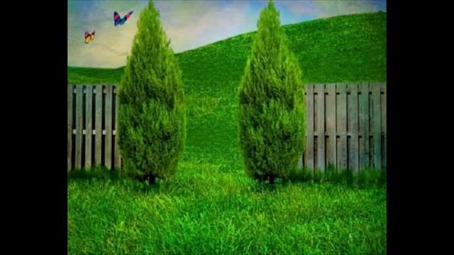 Реклама слайд шоу смотреть онлайн