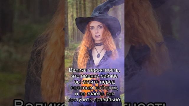 Сон дня: К чему снится Заблудиться? смотреть онлайн