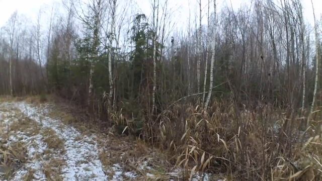В ДЕРЕВНЕ С ДРОВАМИ ПОМОГУТ БОБРЫ // ПОЕЗДКА НА ОЗЕРО И РОДНИК смотреть онлайн