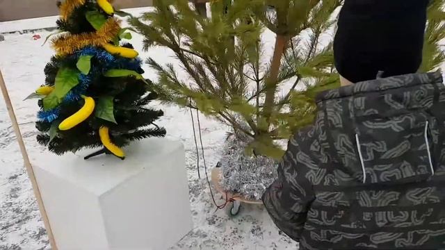 Гонка новогодних ёлок на гироскутерах смотреть онлайн
