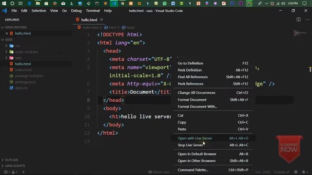 08-The Best Code Editor for Programmers | Live Server extension in vs code in Hindi/Urdu смотреть онлайн