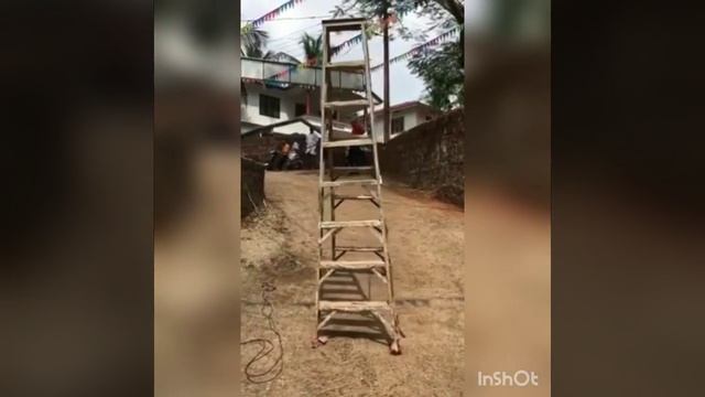 Шок! Ходячие лестницы в Африке. смотреть онлайн