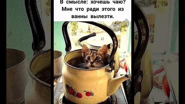 Весну увидел смешные картинки мемы приколы с озвучкой 🤣 смотреть онлайн