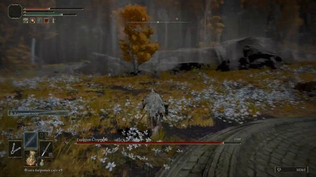 Как пройти УЗИЛИЩЕ ЗОЛОТОЙ ДИНАСТИИ и взять талисман ЗНАК ГОДФРИ Elden Ring. смотреть онлайн