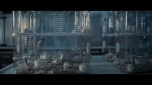 Наёмник — Русский трейлер (2022). смотреть онлайн