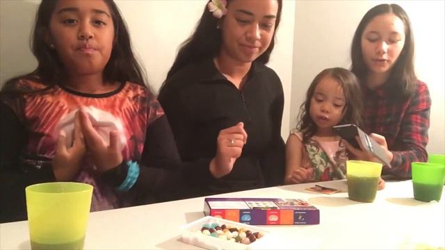 BEAN BOOZLED CHALLENGE Jelly Bean Game by LAH LAH Playhouse смотреть онлайн