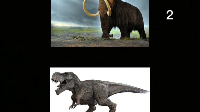 Woolly mammoths vs T-Rex смотреть онлайн