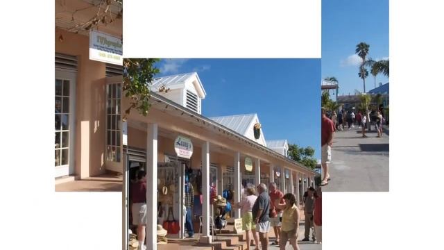 Grand Bahama Island Activities | Grand Bahama Tours смотреть онлайн