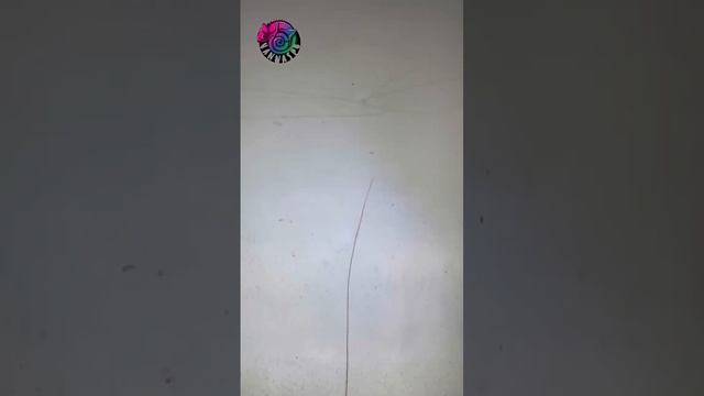 Трудная реставрация ванны. Наливной акрил. смотреть онлайн