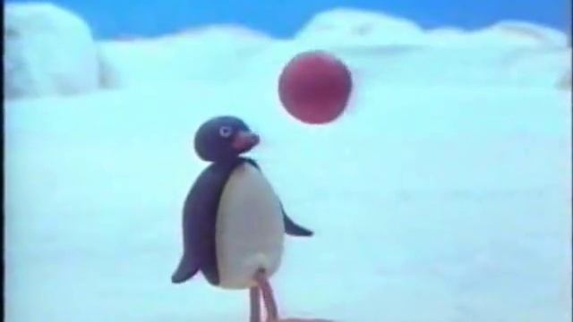 Pingu Macht Problem