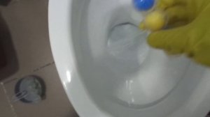 Как установить туалетный блок "бреф" | The Correct Way to use a Toilet Rim Block