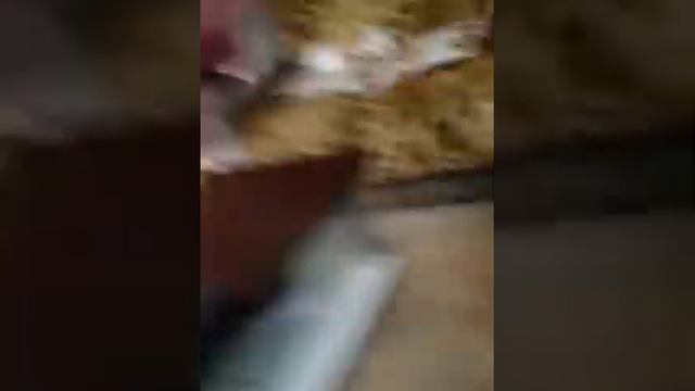 Marek a Davisou cikani смотреть онлайн