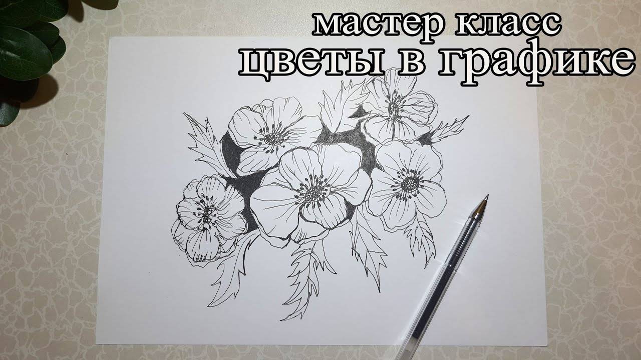 Мастер класс цветы в графике смотреть онлайн