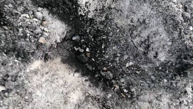 Банановая кожура! Применение о котором не знали смотреть онлайн