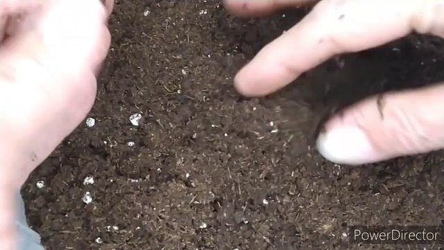 ПУШИСТЫЙ ГРУНТ ,ДЛЯ  ГЛОКСИНИЙ И ФИАЛОК, GREENWORLD, ПРОСТО МЕЧТА