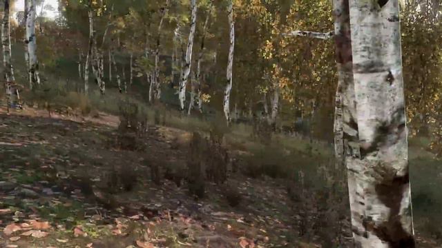 When 3 DayZ Veterans take on Vanilla Servers... смотреть онлайн