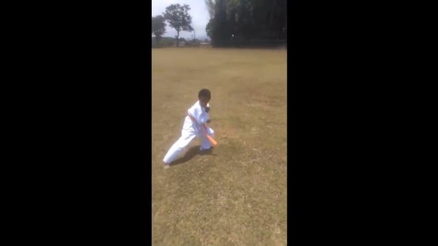 Kata video challenge 01 Kyokushin Sakamoto смотреть онлайн