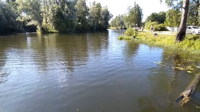 Река Кобринка. Гатчинский район Ленинградская обл. смотреть онлайн