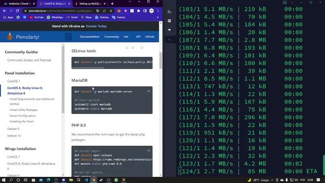 Instalando o Pterodactyl no Alma Linux 8 (Oracle Cloud) смотреть онлайн