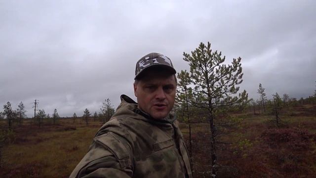 Сбор клюквы на болоте. смотреть онлайн