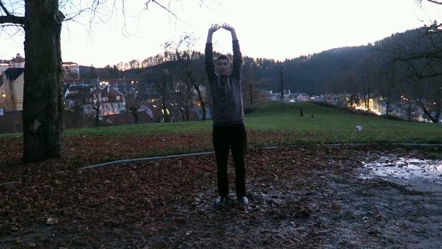 Цигун ТОНКОСТИ ВЫПОЛНЕНИЯ УПРАЖНЕНИЙ смотреть онлайн