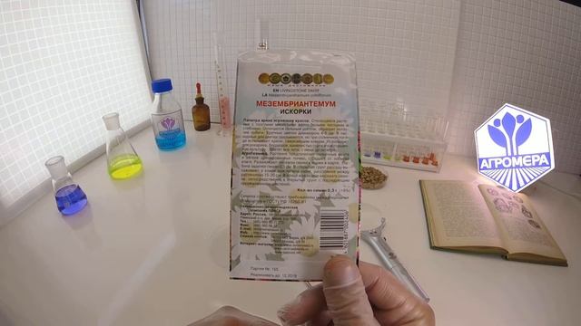 Мезембриантемум Искорки. Поиск смотреть онлайн