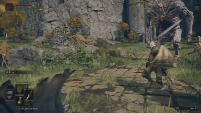 Elden Ring - PVE 200 IQ PLAY (ELDEN BLING) смотреть онлайн