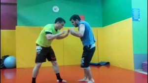 Самбо vs вольная борьба