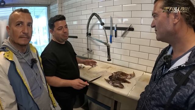 Dikkat Zehirli ☠️ ! ASLAN Balığı Kokoreç Nasıl Yapılır