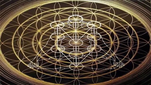 Философия целого, синтез холистического подхода - Глава 1. Освобожденная холистика смотреть онлайн