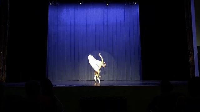 Iana Valina - Der sterbende Schwan von Camille Saint-Saëns смотреть онлайн