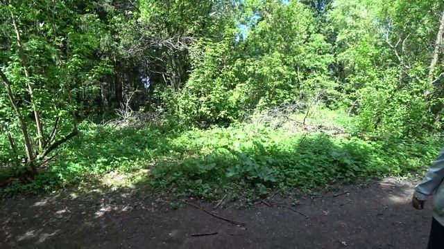 Андроновские горы (1_3) 23 мая 2020 Пермь. смотреть онлайн