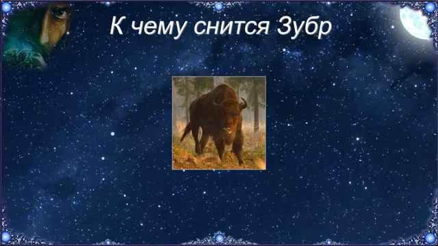 К чему снится Зубр (Сонник) смотреть онлайн
