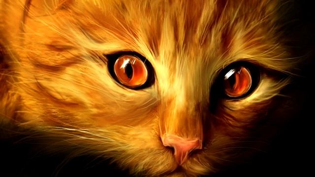 Как человек приручил кошку? И зачем он это сделал ГЛУПЕЦ) смотреть онлайн