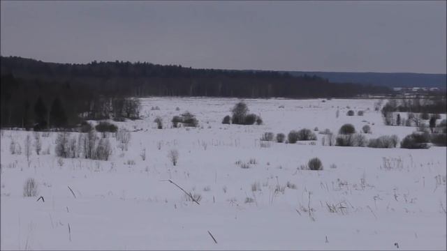 Pulsar HELION 2 XP 50 PRO Новинка.Флагман рынка 2021