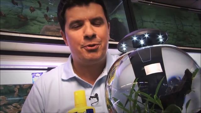 Что нужно знать, чтобы запустить аквариум. Часть 1 смотреть онлайн