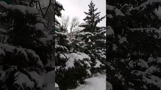 Ёлочка, елка лесной аромат! смотреть онлайн